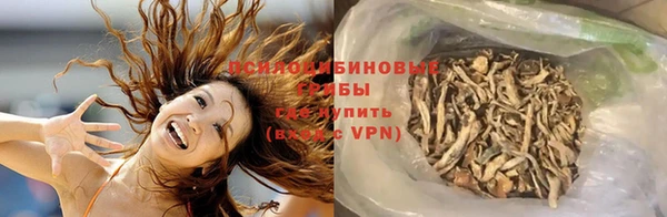 гашик Наволоки